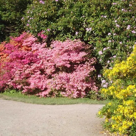 شقة Neptun Im Erdgeschoss - Nahe Dem Rathaus غرال موريتز