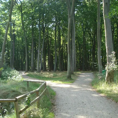 Neptun Im Erdgeschoss - Nahe Dem Rathaus شقة غرال موريتز